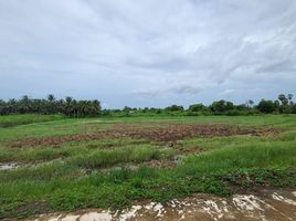  Land for sale in Ban Mo, Mueang Phetchaburi, Ban Mo