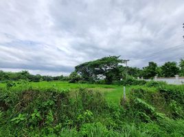  Land for sale in Phu Doi Market, Nong Chom, Nong Chom