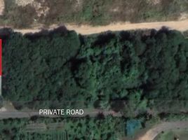  Land for sale at Land Plot Tala in Rawai, Rawai