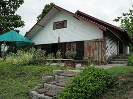  Grundstück zu verkaufen in Mae Taeng, Chiang Mai, Mae Taeng, Mae Taeng, Chiang Mai