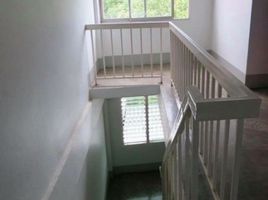 3 Bedroom Townhouse for sale in Mueang Chiang Rai, Chiang Rai, Rop Wiang, Mueang Chiang Rai