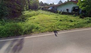 N/A Land for sale in Na Thung, Chumphon 