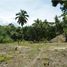  Land for sale in Cocle, Rio Hato, Anton, Cocle