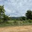  Land for sale in Nong Luang, Sawang Arom, Nong Luang