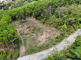  Land for sale in Thalang, Phuket, Pa Khlok, Thalang