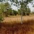  Land for sale in Chaiyaphum, Nong Sang, Kaeng Khro, Chaiyaphum