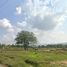  Land for sale in Phuket, Si Sunthon, Thalang, Phuket