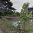  Land for sale at Kheha Lampang, Phrabat, Mueang Lampang