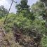  Land for sale in Mission Hospital Phuket, Ratsada, Ratsada