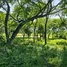  Land for sale in Argentina, Anta, Salta, Argentina