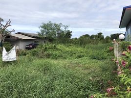  Grundstück zu verkaufen in Mueang Nakhon Pathom, Nakhon Pathom, Bang Khaem, Mueang Nakhon Pathom