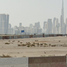  Grundstück zu verkaufen in Ras Al Khor, Dubai, Ras Al Khor Industrial