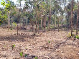  Land for sale in Yom, Tha Wang Pha, Yom