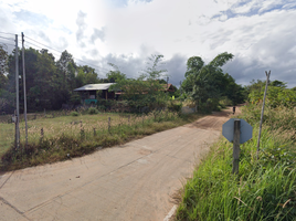  Land for sale in Rai Noi, Mueang Ubon Ratchathani, Rai Noi