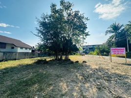  Land for sale in Chiang Mai, Rim Nuea, Mae Rim, Chiang Mai