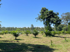 在Takua Pa, 攀牙出售的 土地, Khuek Khak, Takua Pa