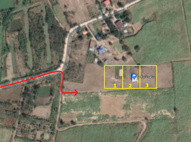  Land for sale in Wang Sai, Pak Chong, Wang Sai