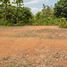  Land for sale in Chiang Mai, Luang Nuea, Doi Saket, Chiang Mai