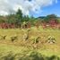  Land for sale in Heredia, Santa Barbara, Heredia