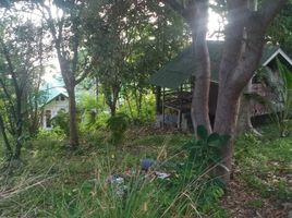  Land for sale in Surat Thani, Ko Pha-Ngan, Ko Pha-Ngan, Surat Thani