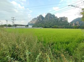  Grundstück zu verkaufen in Cha-Am, Phetchaburi, Cha-Am, Cha-Am, Phetchaburi