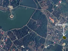  Land for sale in Choeng Doi, Doi Saket, Choeng Doi