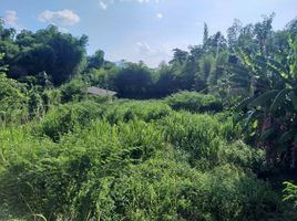  Grundstück zu verkaufen in Mae Rim, Chiang Mai, Huai Sai