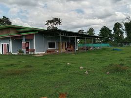 3 Schlafzimmer Villa zu verkaufen in Prakhon Chai, Buri Ram, Phaisan