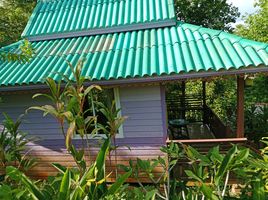 7 Schlafzimmer Hotel / Resort zu verkaufen in Mueang Krabi, Krabi, Ao Nang