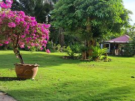 3 Schlafzimmer Haus zu verkaufen in Ko Chang, Trat, Ko Chang Tai