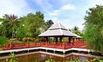 Communal Garden Area at ปาล์ม พาวิลเลี่ยน