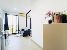 Studio Wohnung zu vermieten im Zcape I, Choeng Thale