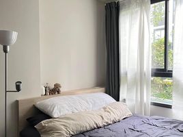 Studio Condo for rent at The Muve Bangna, Bang Na, Bang Na