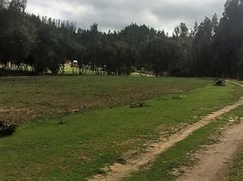  Land for sale at Casablanca, Maria Pinto, Melipilla