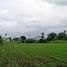  Land for sale in Madhya Pradesh, Bhopal, Bhopal, Madhya Pradesh