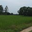  Land for sale in Nuea Mueang, Mueang Roi Et, Nuea Mueang