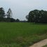  Land for sale in Mueang Roi Et, Roi Et, Nuea Mueang, Mueang Roi Et