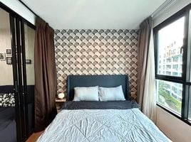 Studio Apartment for rent at Centrio, Wichit, Phuket Town