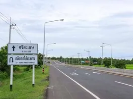 在Kanthararom, 四色菊出售的 土地, Non Sang, Kanthararom