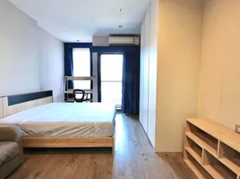 คอนโด 1 ห้องนอน ให้เช่า ในโครงการ วิซดอม อเวนิว รัชดา - ลาดพร้าว, จอมพล, จตุจักร, กรุงเทพมหานคร, ไทย