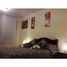 3 Bedroom Apartment for rent at Cotacachi, Garcia Moreno Llurimagua, Cotacachi, Imbabura