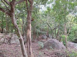  Grundstück zu verkaufen im Santikhiri Estate, Na Mueang, Koh Samui, Surat Thani