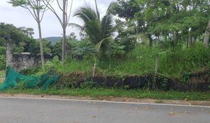 N/A Land for sale in Chalong, Phuket 