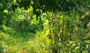 N/A Land for sale in Lo Yung, Phangnga 