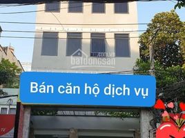 Studio Villa zu verkaufen in Tan Binh, Ho Chi Minh City, Ward 4