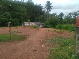  Land for sale in Takua Thung, Phangnga, Lo Yung, Takua Thung