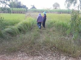  Land for sale in Thailand, Sawathi, Mueang Khon Kaen, Khon Kaen, Thailand