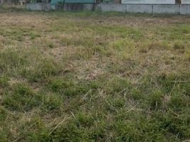  Land for sale in Mueang Khon Kaen, Khon Kaen, Ban Pet, Mueang Khon Kaen