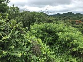 Land for sale in La Cruz, Guanacaste, La Cruz