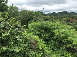  Grundstück zu verkaufen in La Cruz, Guanacaste, La Cruz